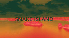 SNAKE ISLAND 4.1 cover