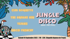 Jungle Disco Mini Festival cover