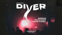 DIVER | 1ST EDITION cover
