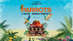 Parrots 3 Years - Minimal Edition cover