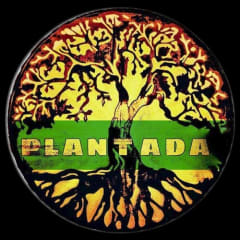 Plantada