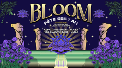 Bloom a 1 an | CO2 Club | Prix Libre cover