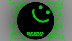 bafao #13 cover