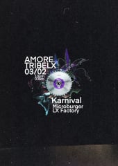 AmoretribeLx es un KARNIVAL - the party cover
