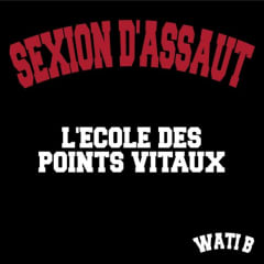 Sexion D'Assaut