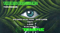 Temple of techno cover