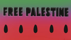 Pop-Up For Palestine cover