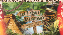 CHAPIBIRTHDAY : LES 7 PÊCHÉS VÉGÉTAUX cover