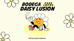 Daisy Lusion x Bodega Casa Locos: AMER all night long cover