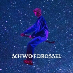 Schwofdrossel