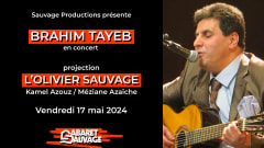 Brahim Tayeb + Projection L'Olivier Sauvage cover