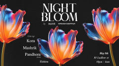 Night Bloom cover