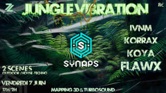 Jungle vibration by Sÿnaps cover