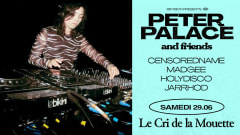 Peter Palace & Friends : Censoredname, Madgee, Holydisco ++ cover