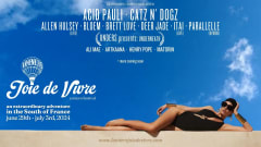 Joie De Vivre Micro Festival cover