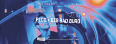 PICO & BIG BAD BURD [minimal house] cover