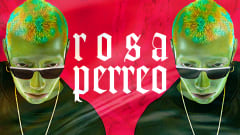 Rosa Perreo - Aug 17th (21+) cover