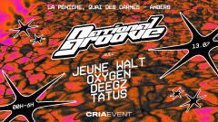 National Groove W/ Jeune Walt / Deegz / Oxygen / Tatus cover