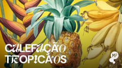 7/9 - Calefação Tropicaos No Mundo Pensante cover