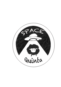 Space Quinta