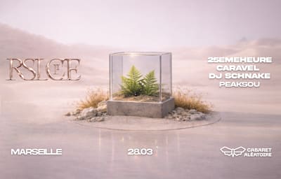 Peaksou - Soirée techno à Marseille