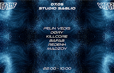 Pelin Vedis - Soirée techno à Strasbourg