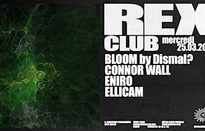 ellicam - Soirée techno à Paris