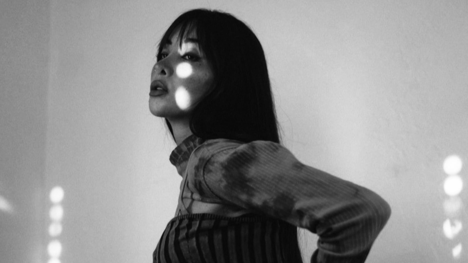 Model Collapse: Curated By Bitter Babe Cover