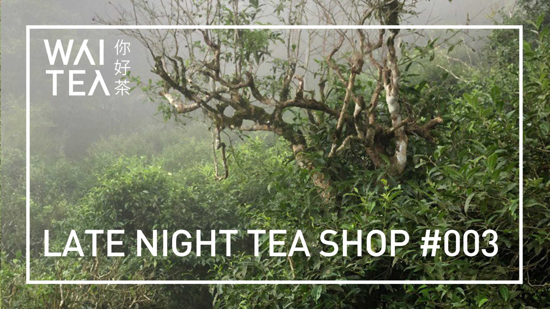 Late Night Tea Shop #003 Cover