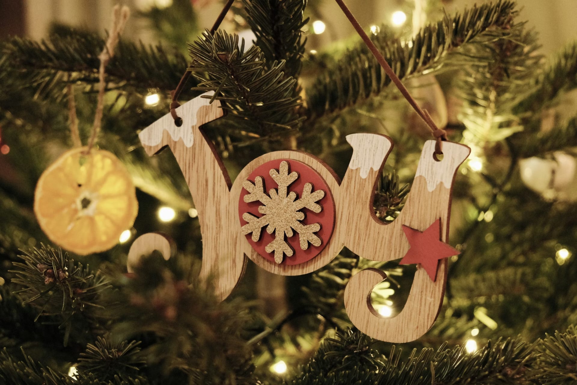 Wooden Christmas Ornaments Workshop Cover
