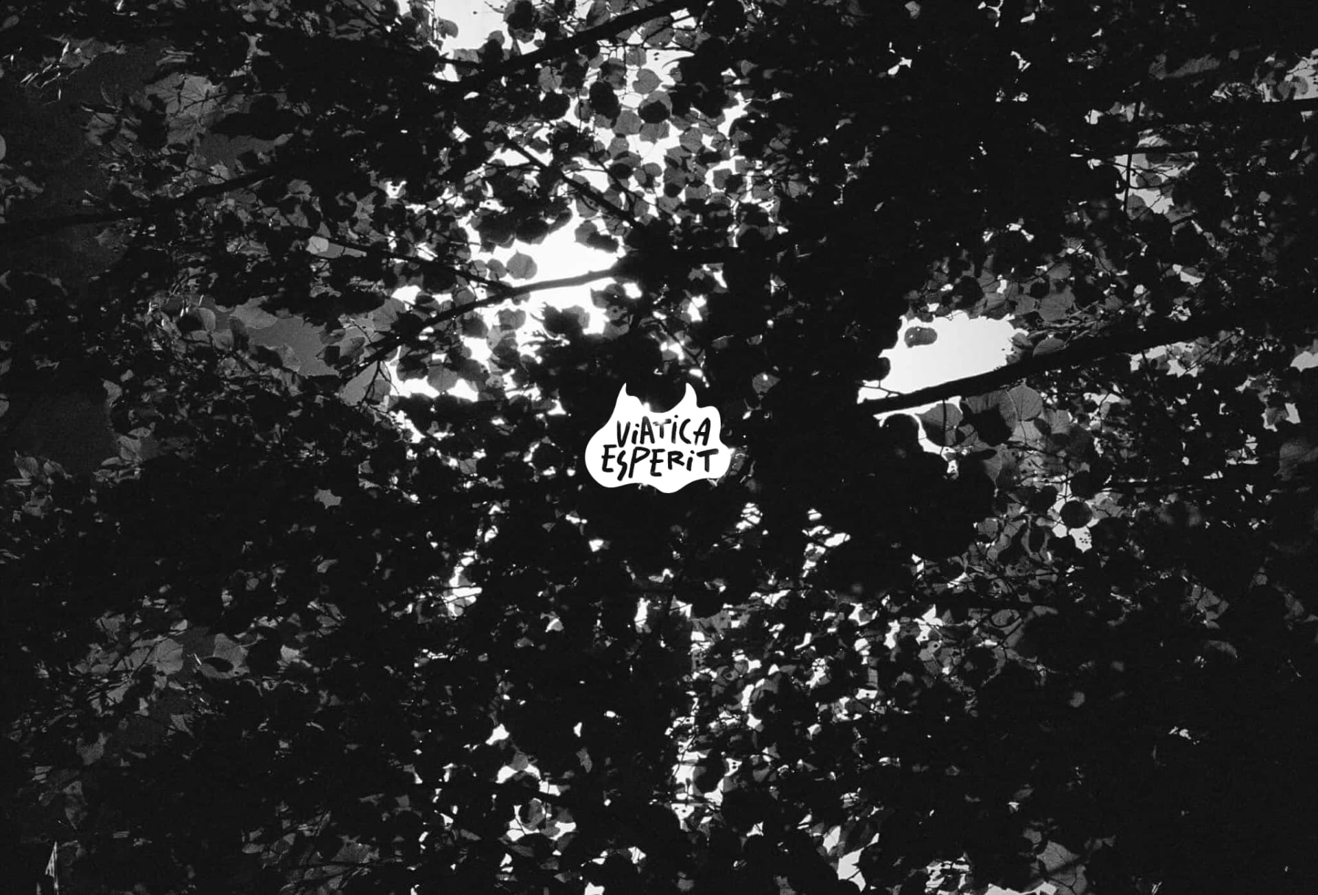 Viatica Esperit Festival 2026 Cover