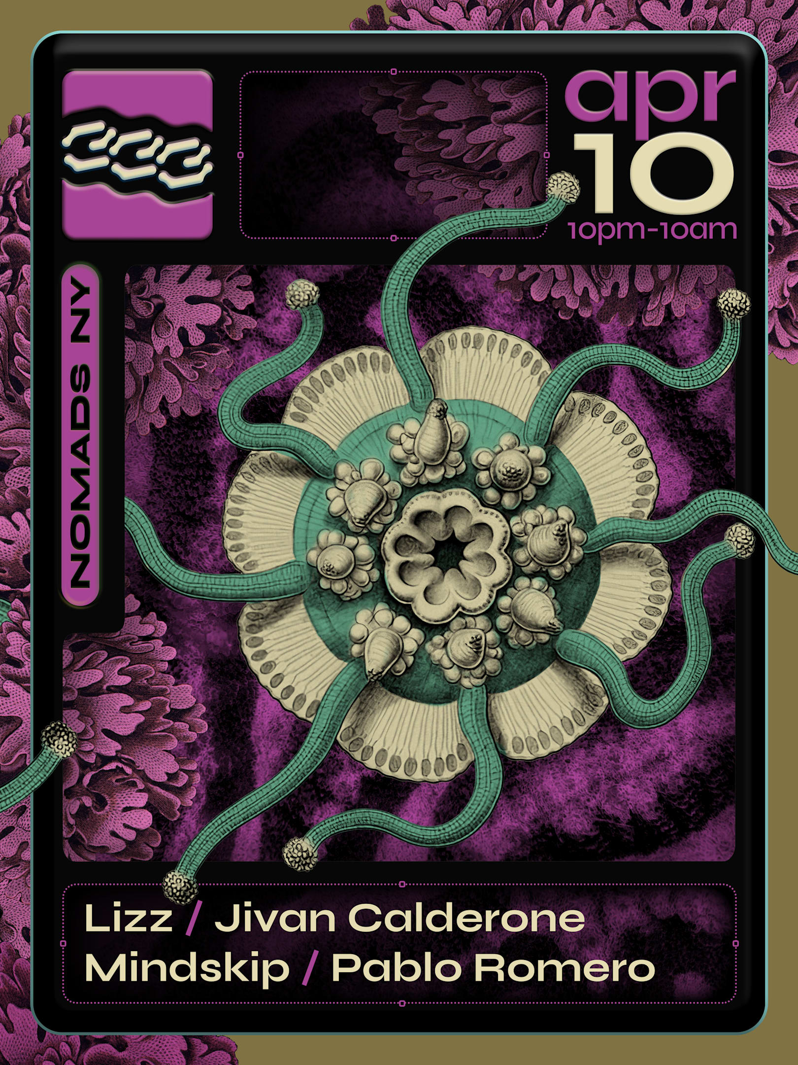 333 X Nomads Ny: Lizz Cover