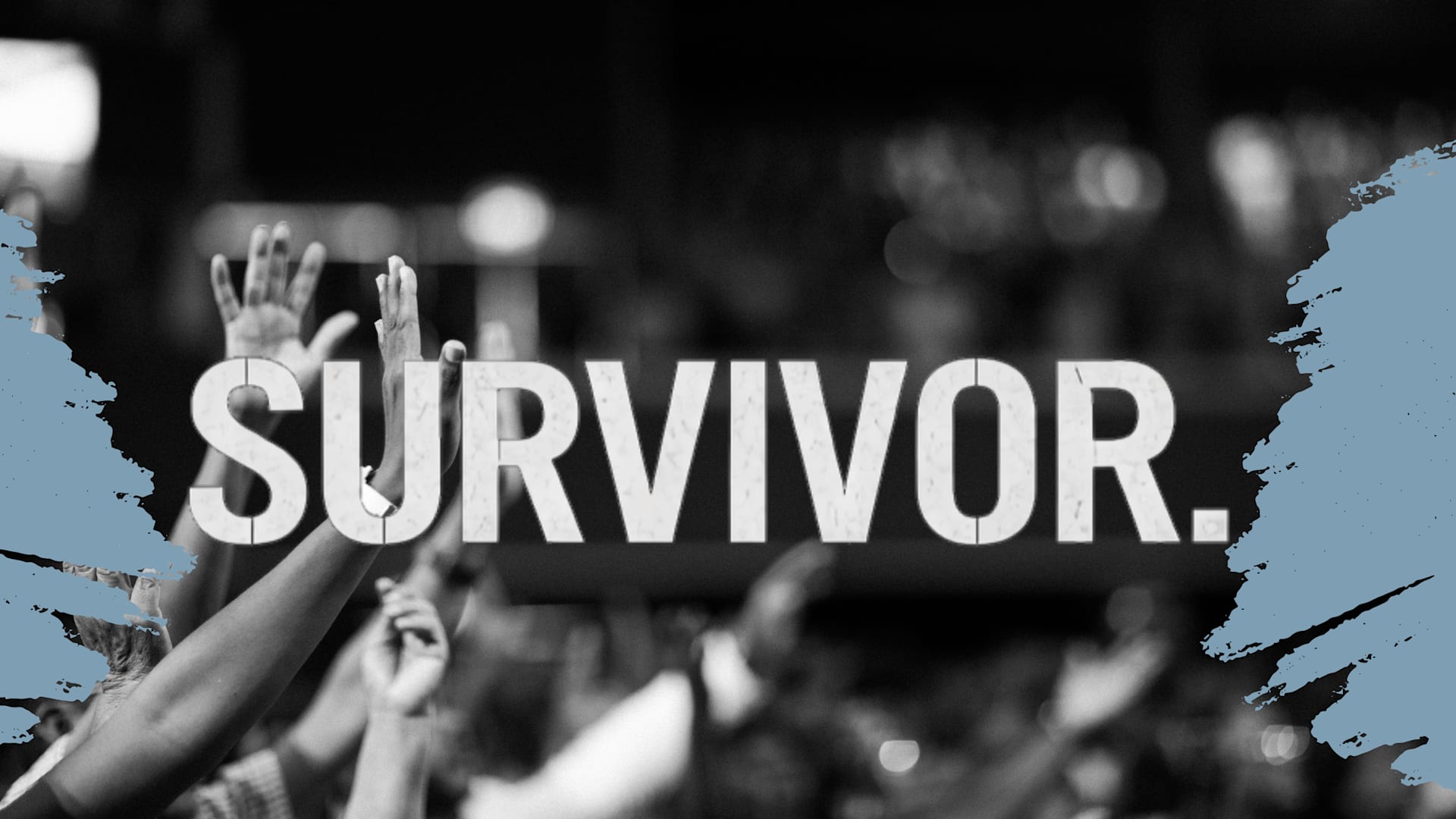 Survivor:  Still Here Experience - Combo Limitado Cover