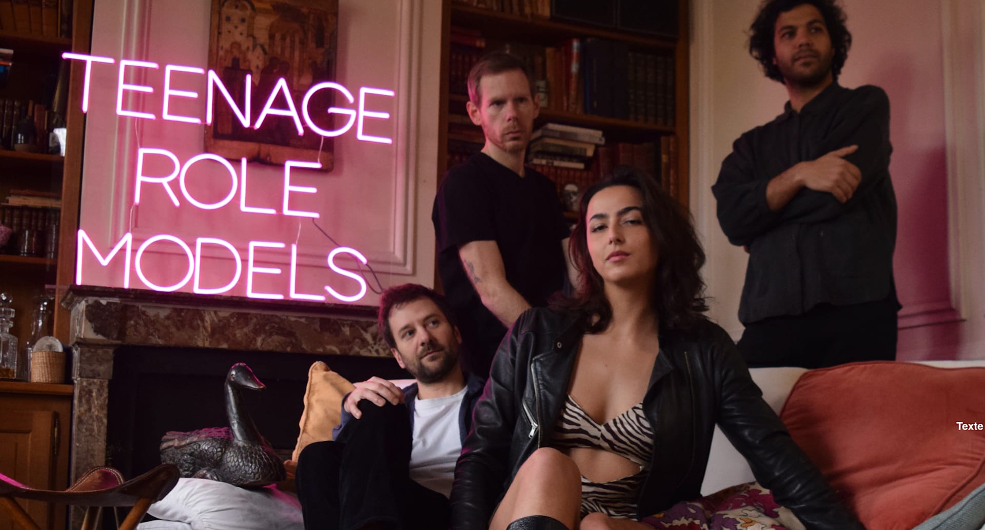 Teenage Role Models X Oknotok Cover