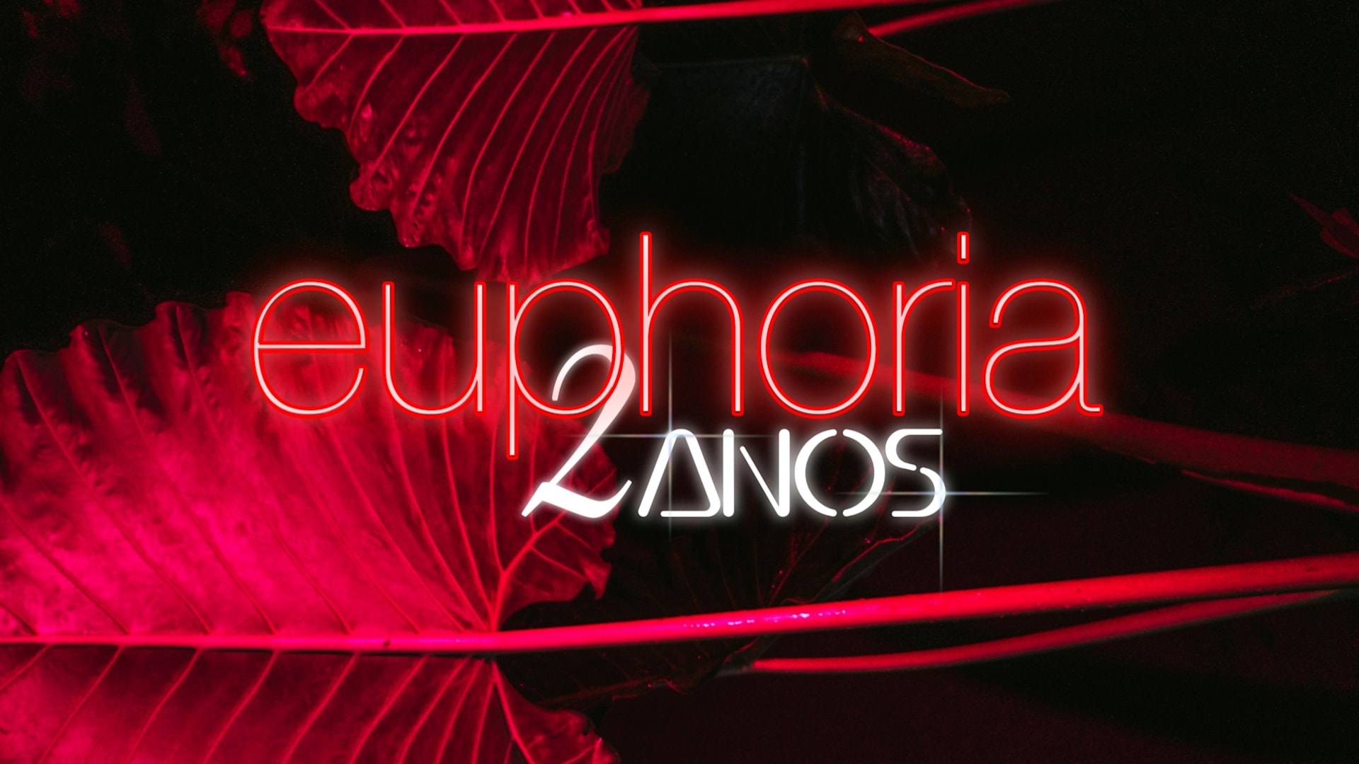 Euphoria 2 Anos Cover