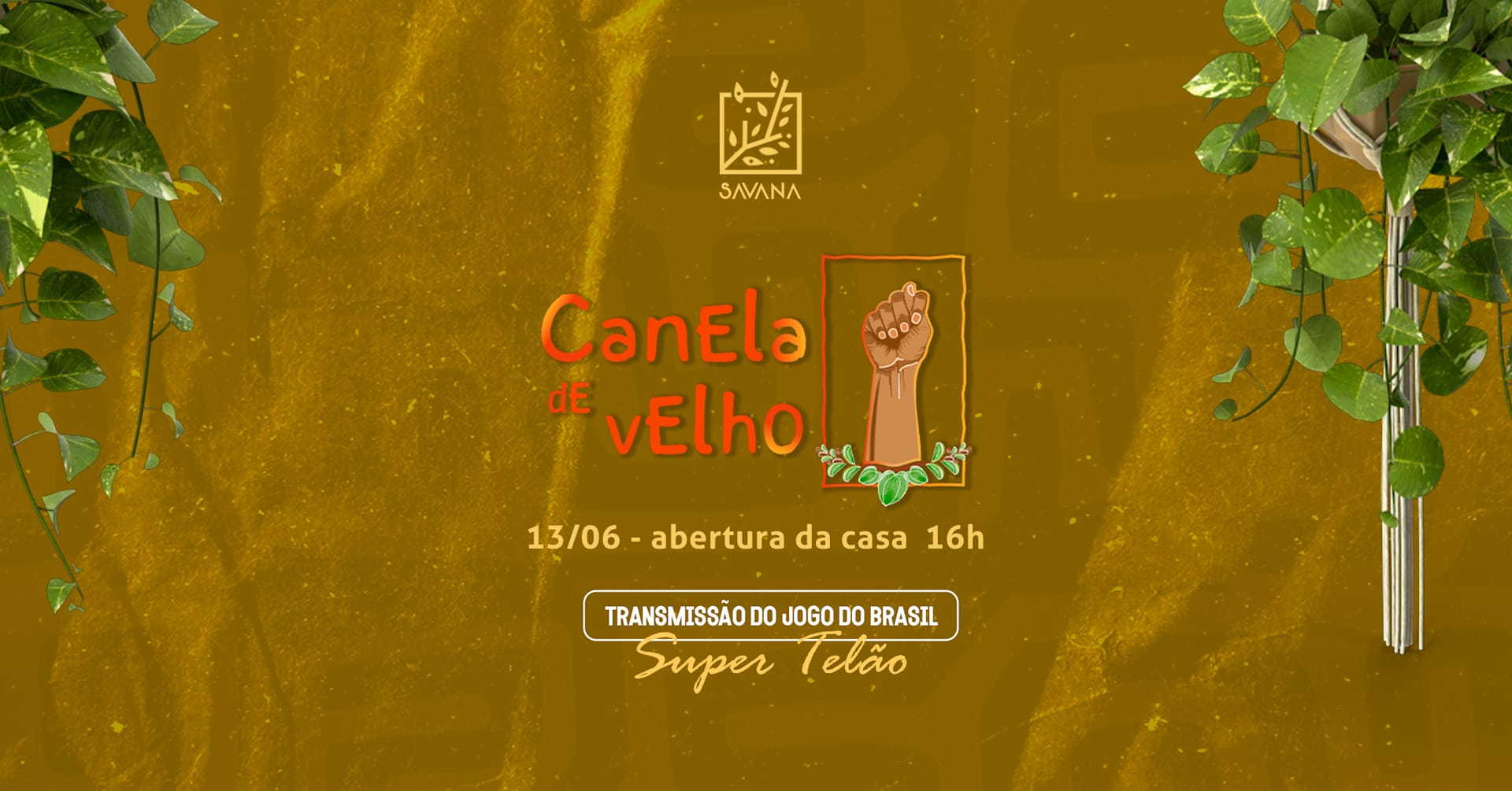 Canela De Velho Na Casa Savana Cover