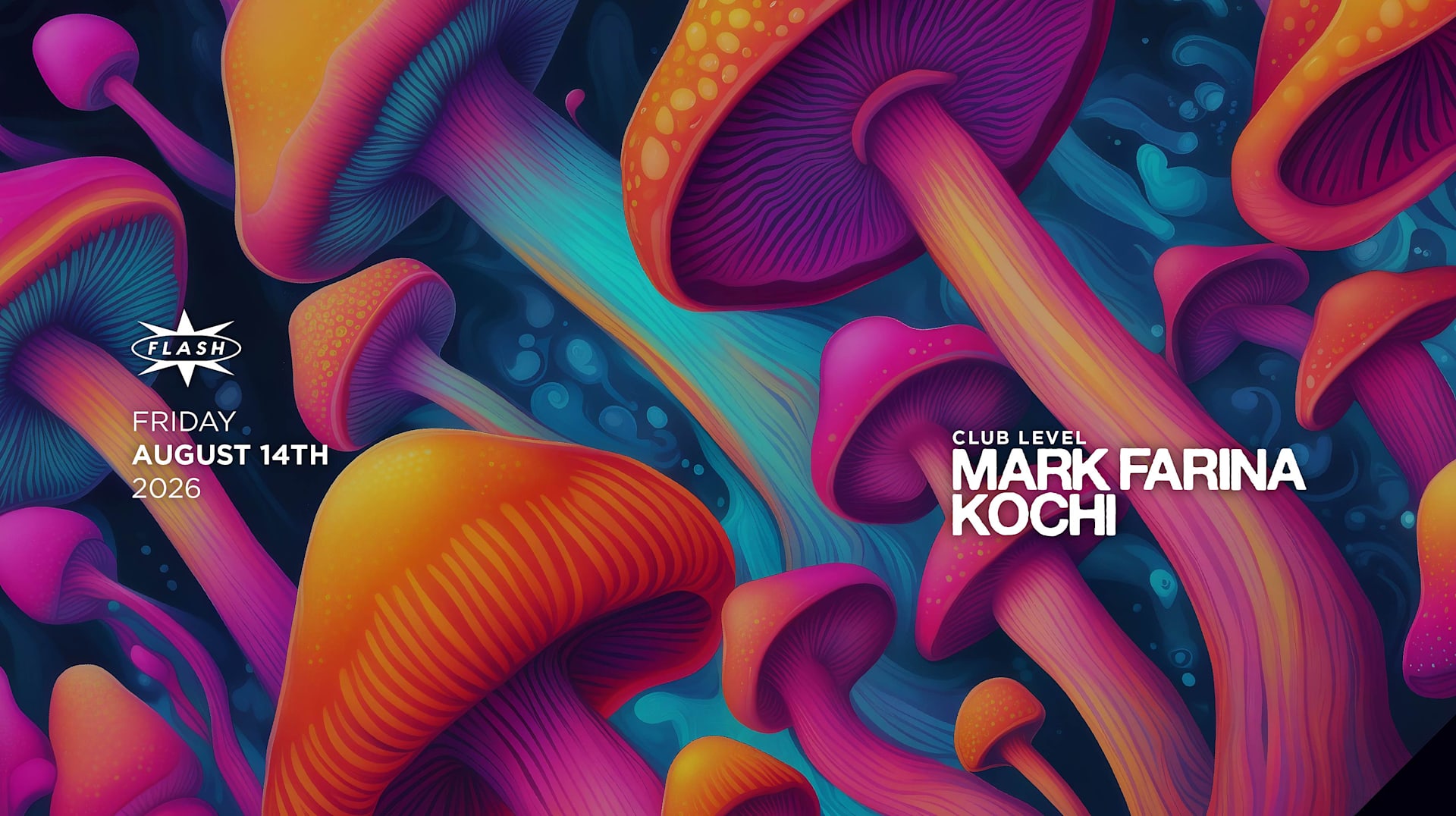 Mark Farina Cover