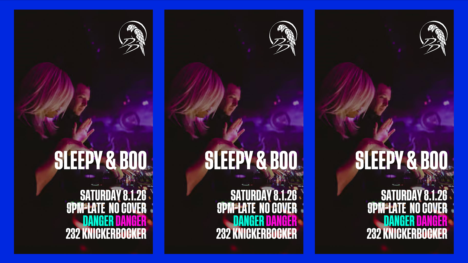 Danger Danger Presents Sleepy & Boo (Free W/ Rsvp) Cover