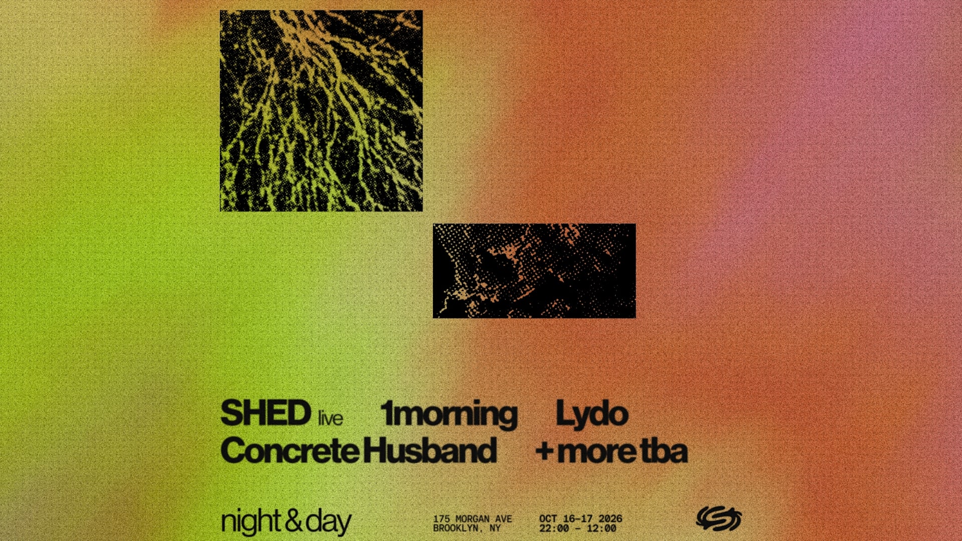 Shed (Live), 1morning, Lydo, Concrete Husband + Tba Cover