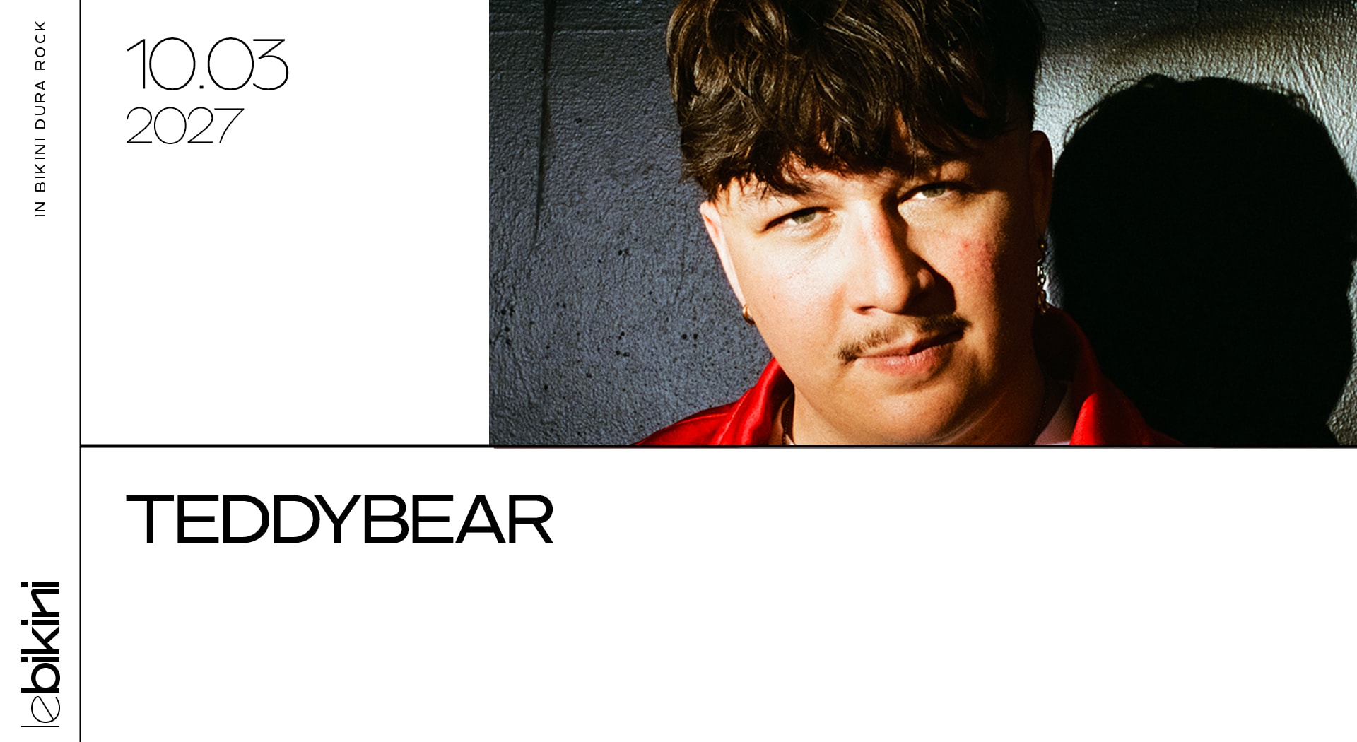 Teddybear Cover