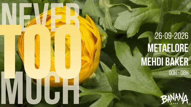 Never Too Much 004 Cover