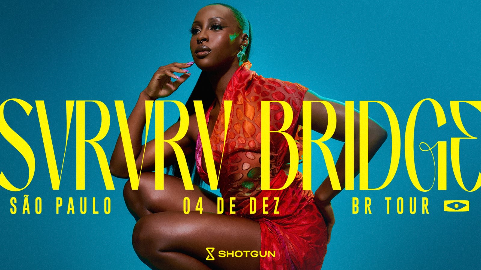 Svrvrv Bridge Sp Cover