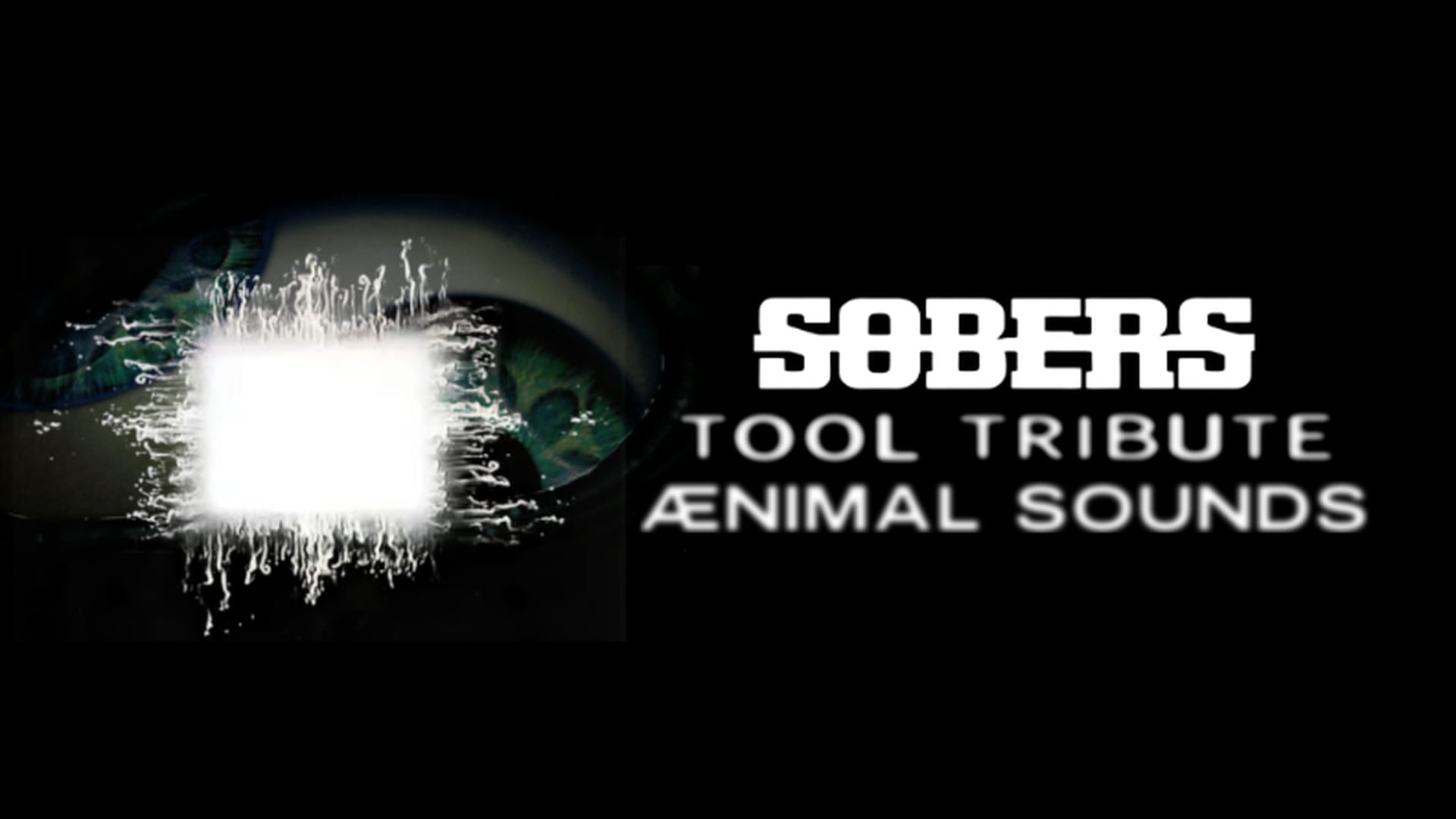 Sobers Tool Tribute Apresenta: Ænimal Sounds Cover