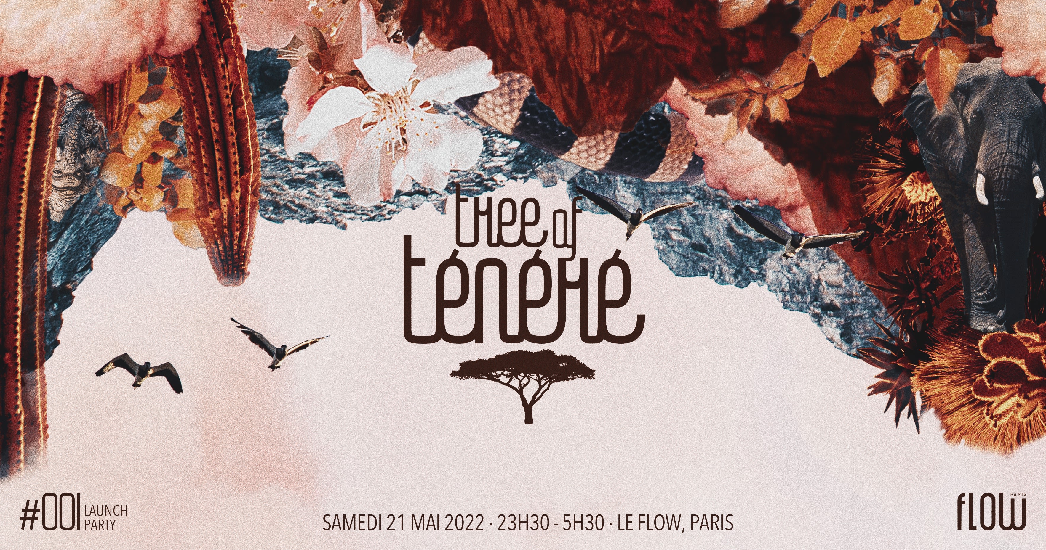 Tree Of Ténéré X Le Flow | Launch Party Cover