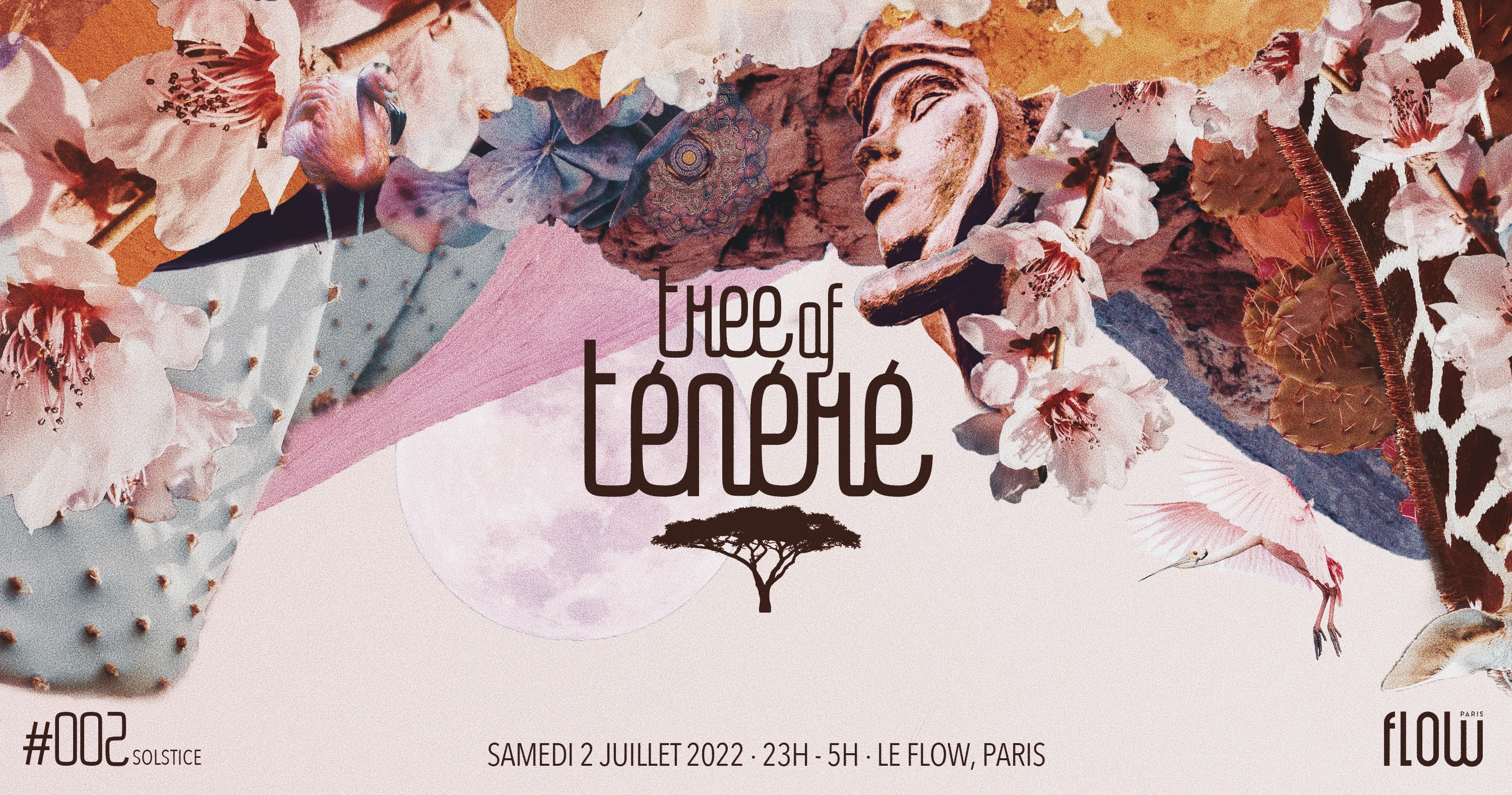 Tree Of Ténéré X Le Flow | Solstice Cover