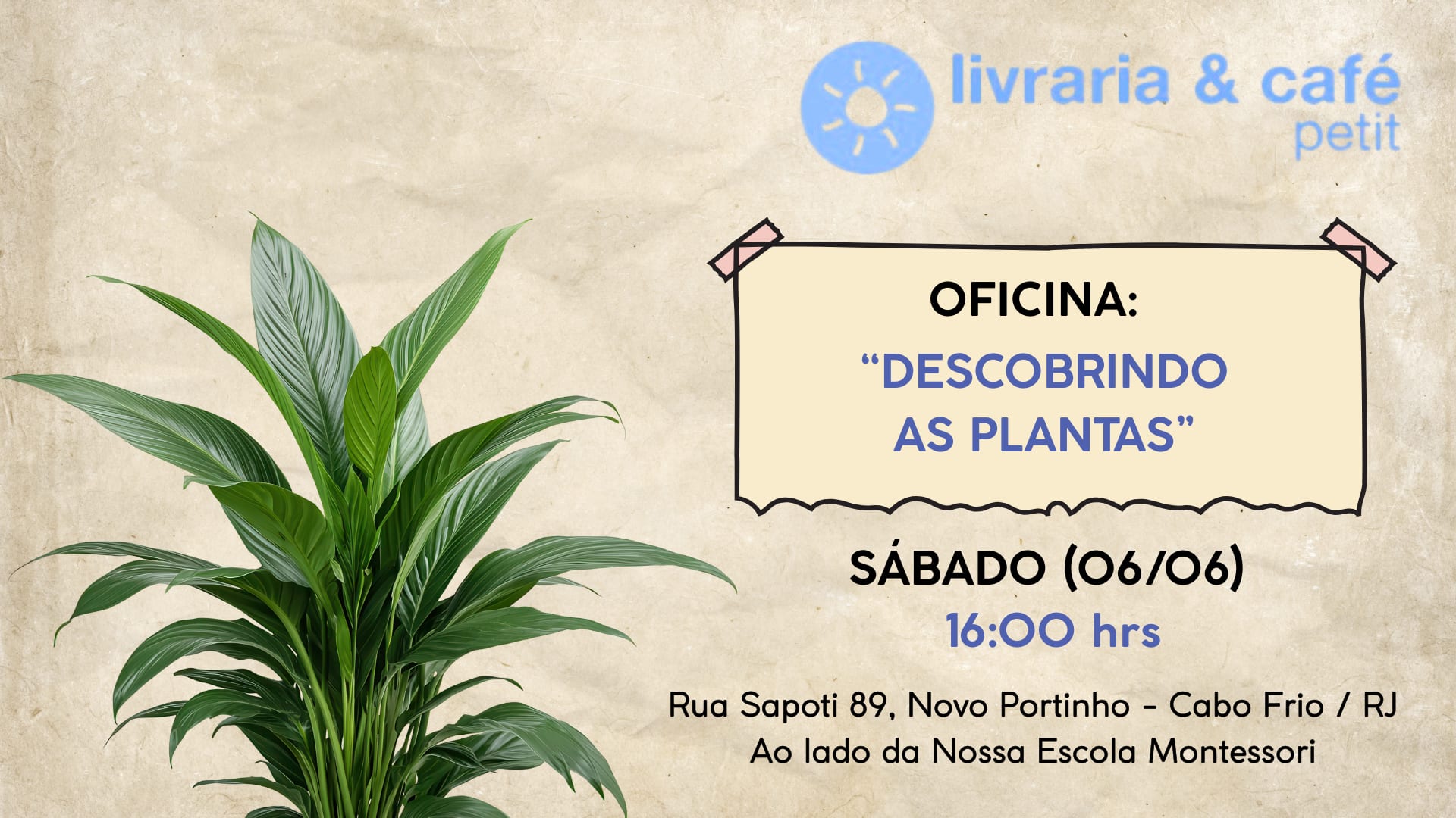 Oficina "Descobrindo As Plantas" 16h Cover