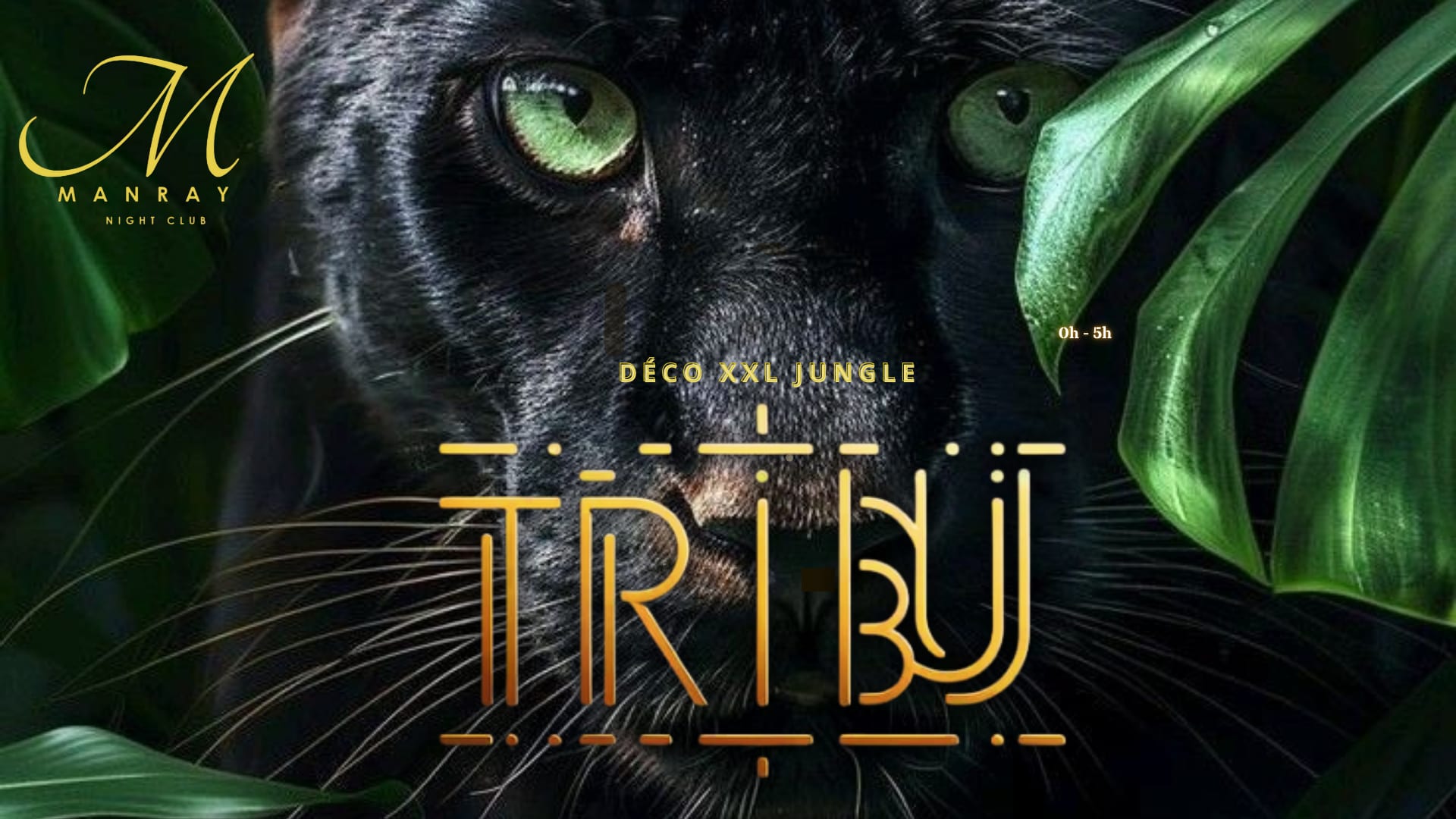 Tribu Cover