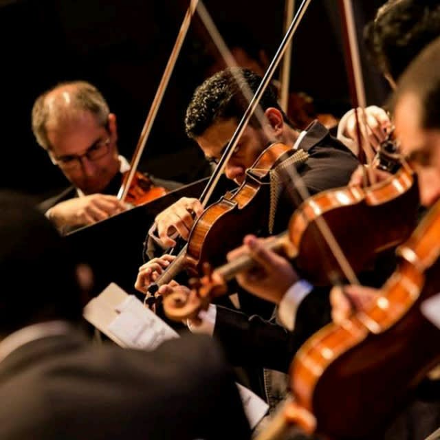 Camerata Da Orquestra Sinfônica Cover