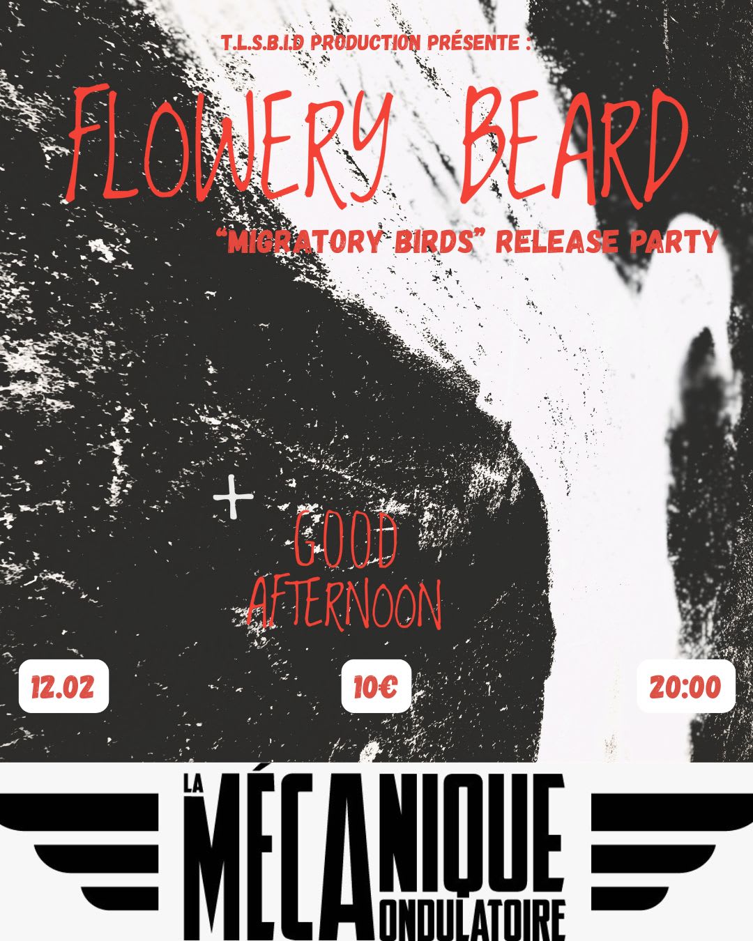 Flowery Beard "Migratory Birds" Release Party Cover