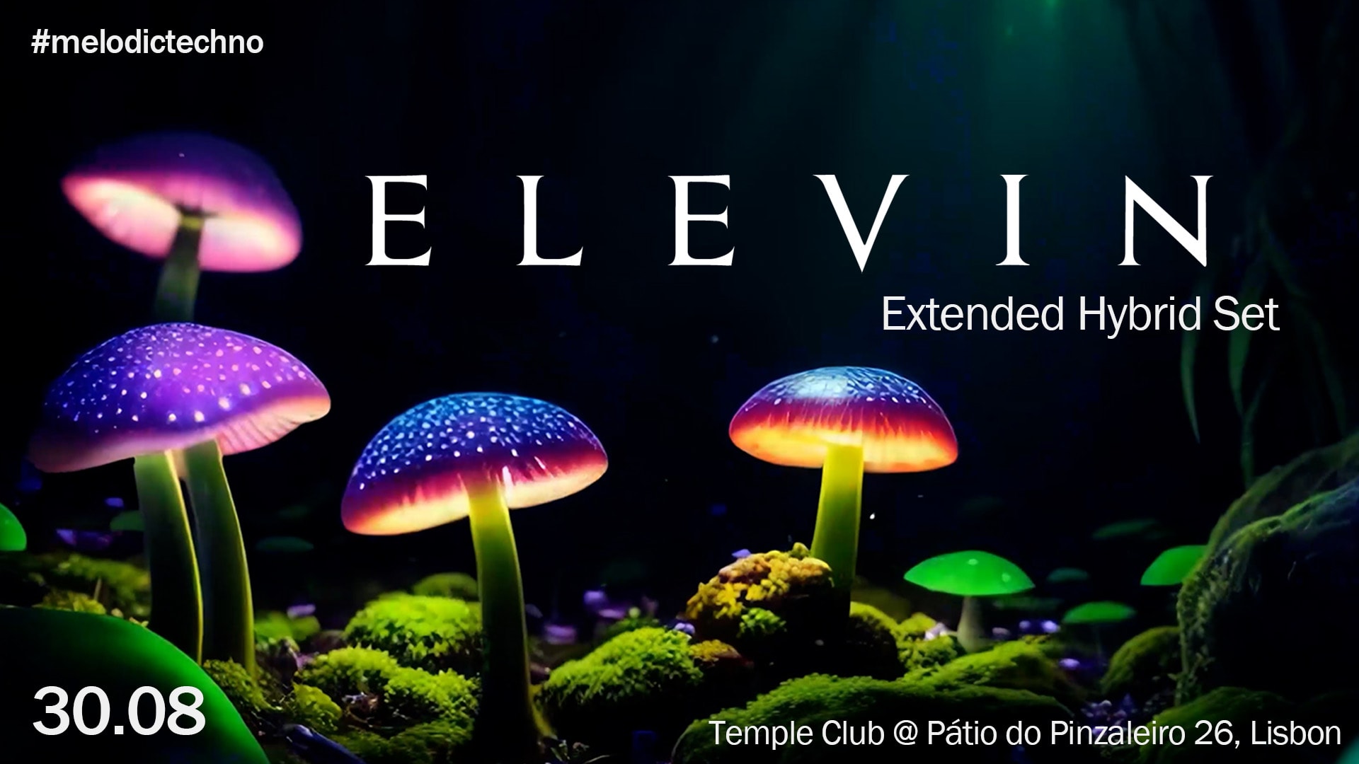 Elevin Melodic Techno Extended Hybrid Set Cover